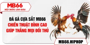 da ga cua sat mb66 – chien thuat dinh cao giup thang moi doi thu
