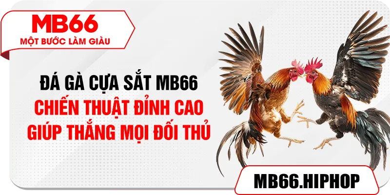 da ga cua sat mb66 – chien thuat dinh cao giup thang moi doi thu