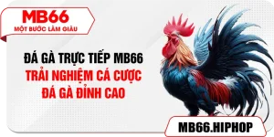 da ga truc tiep mb66 – trai nghiem ca cuoc da ga dinh cao