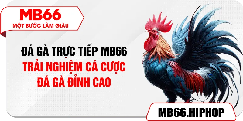 da ga truc tiep mb66 – trai nghiem ca cuoc da ga dinh cao